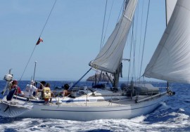 Barca a vela 14 mt