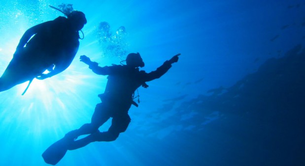 Divers