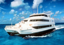 Motor Catamaran 31 mt