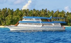 Motor Yacht 33 mt
