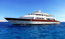 Motor Yacht 37 mt