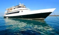 Motor Yacht 33 mt