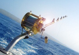 Pescare in crociera alle Maldive